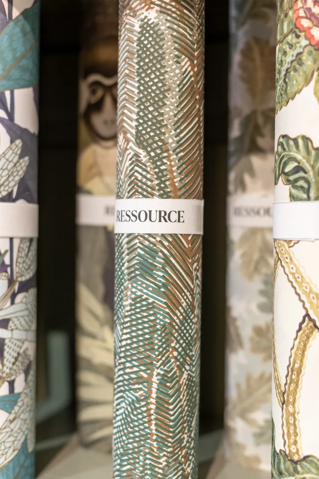 papiers peints ressource showroom Challans